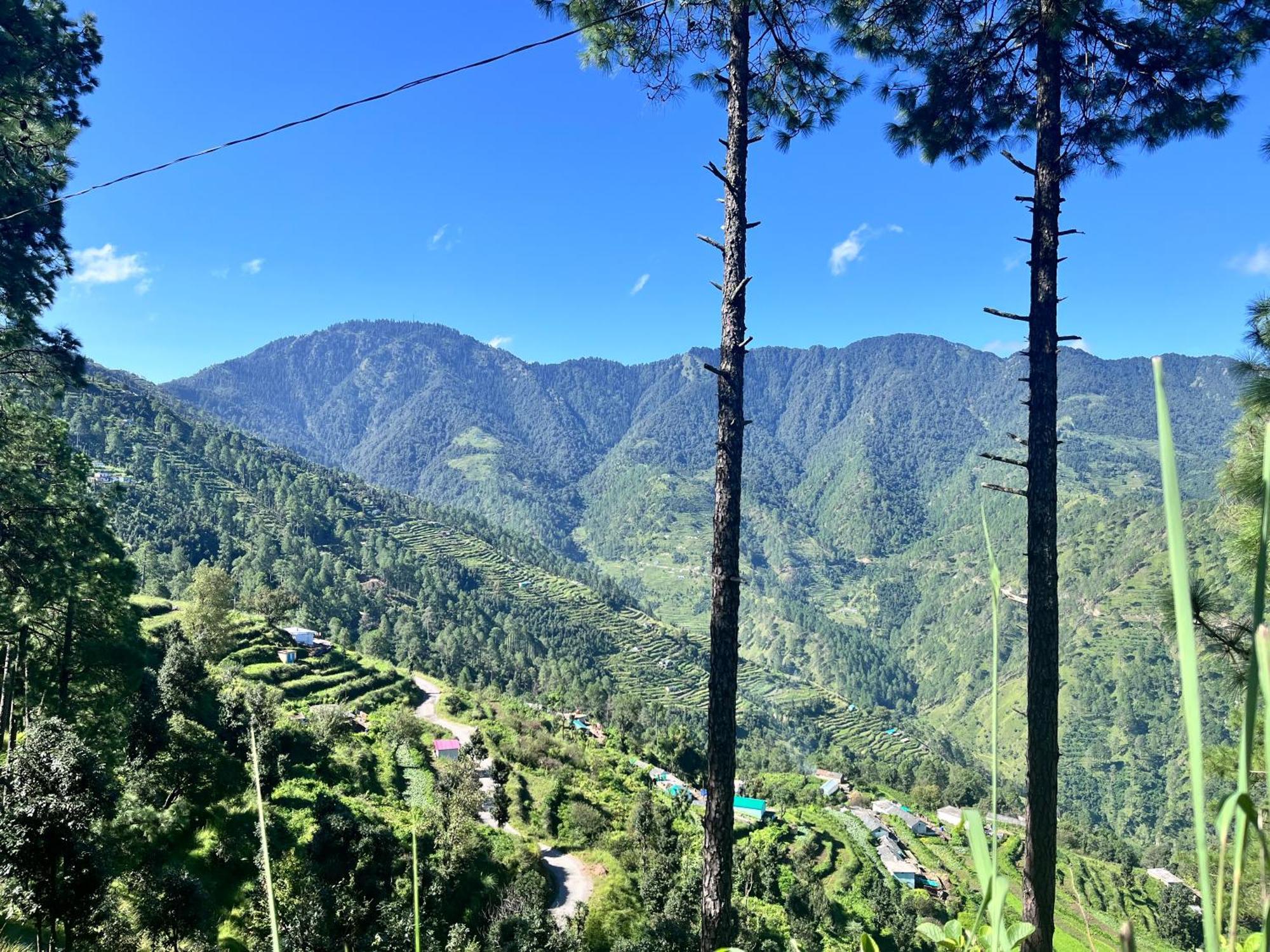 Himalayan Hill Top Resort Kanatal Dış mekan fotoğraf