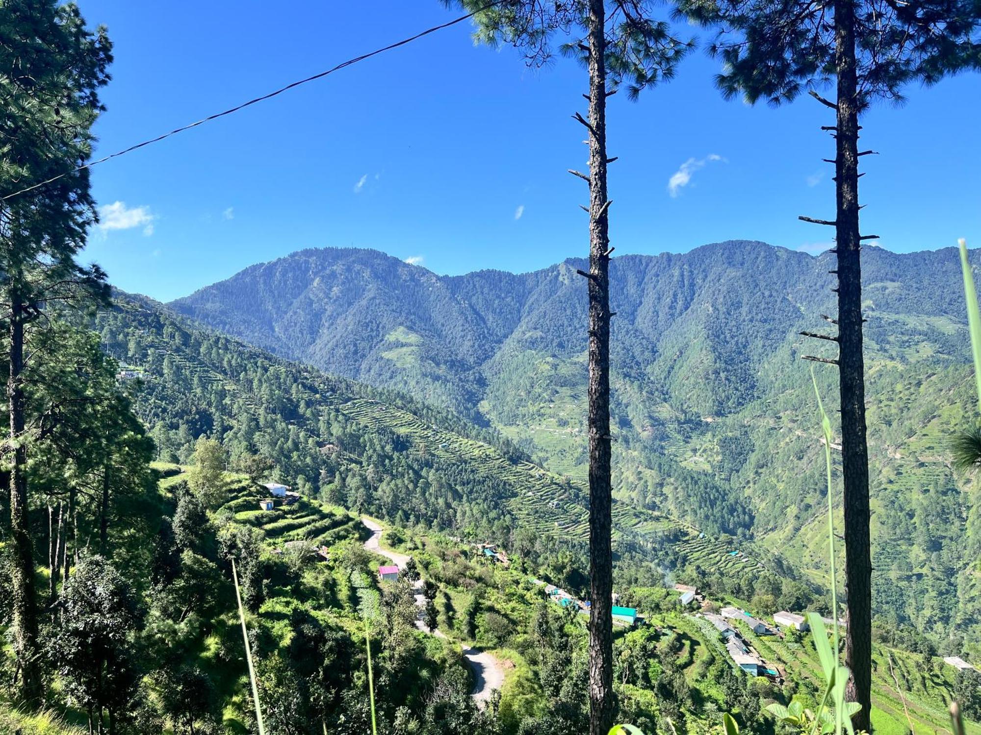 Himalayan Hill Top Resort Kanatal Dış mekan fotoğraf